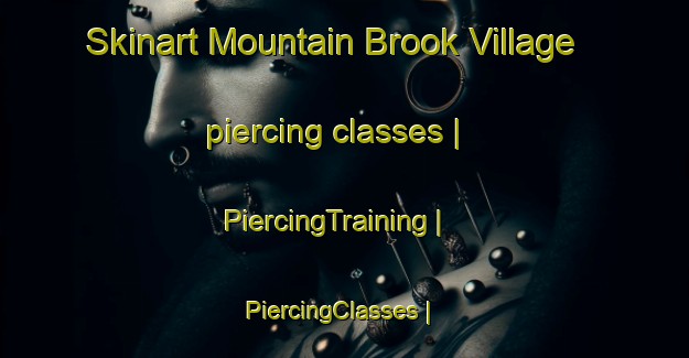 Skinart Mountain Brook Village piercing classes | PiercingTraining | PiercingClasses | SkinartTraining-United States